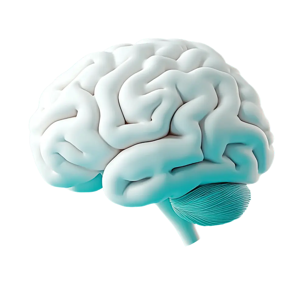 Service/Feature Image